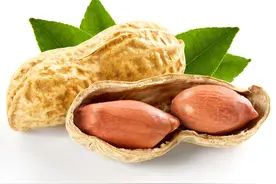 花生中的“抗癌机制”被发现？坚持吃花生，真的能防癌抗癌吗？图片