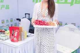 未来会崛起的三大行业图片