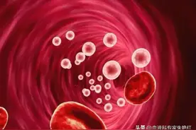 得了MDS就等于判了死刑？主要取决于这2个因素！图片
