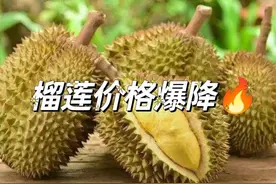 “水果之王”破价暴跌，是福是祸？你实现榴莲自由了吗？图片