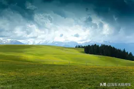 抵押车利弊剖析，一目了然图片