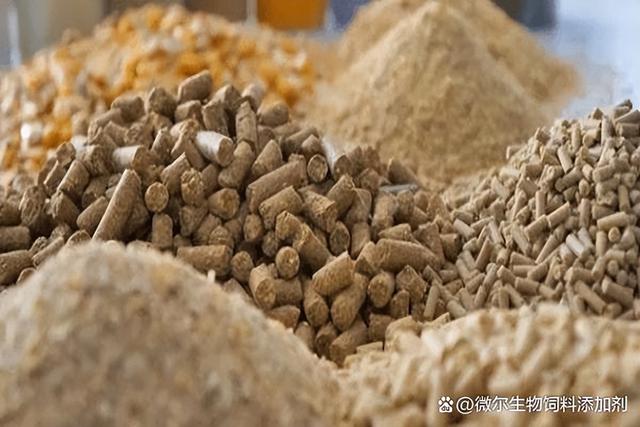 我们应该如何正确选择猪预混料和催肥饲料添加剂？