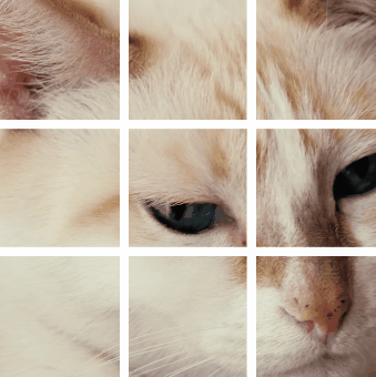 ����Ȧ��ƵҲ�ܷ��Ź����ˣ���������������������