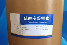 硫酸安普霉素在养鸡中的应用图片