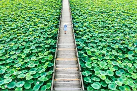 沈阳夏天避暑：本地人最爱这三个地方图片