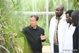 丝路对话| 中国菌草帮非洲农户走上致富路图片