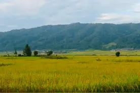 知青往事：那次从陇川县回昆明的艰难历程，我一辈子都不会忘记图片