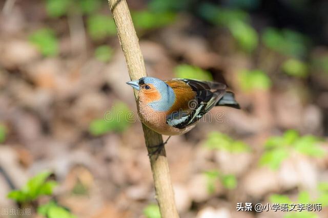 反问句改陈述句练习（陈述句改为反问句专项练习）