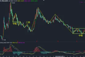 股票个股分析68：张江高科（600895）图片