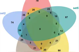 一文教你学会维恩图的绘制——R语言图片