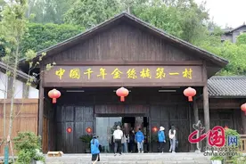 媒体记者走进重庆酉阳 探访“中国千年金丝楠第一村”图片
