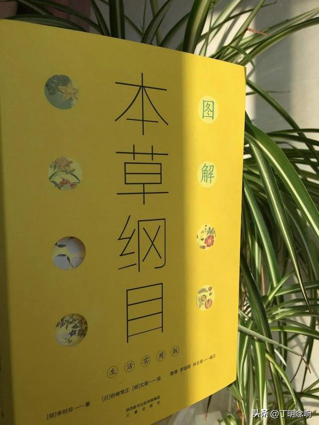 《图解本草纲目》适合普通人阅读的博物志