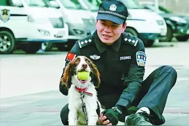 开放领养申请仅1天，厦门8只退役警犬都有了新家图片