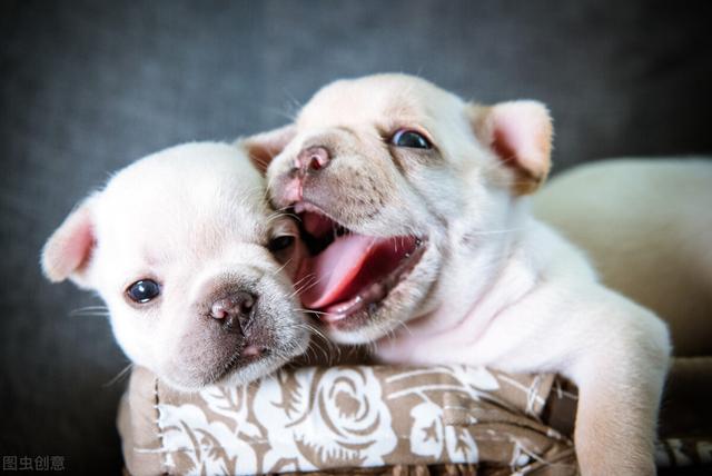 未来10年,中国最赚钱的3大黄金赛道,最适合普通人创业