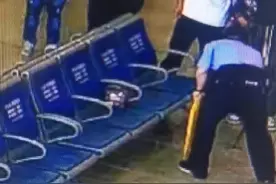 危险！高铁候车室惊现银环蛇，毒性是眼镜王蛇的10倍！被咬怎么办图片