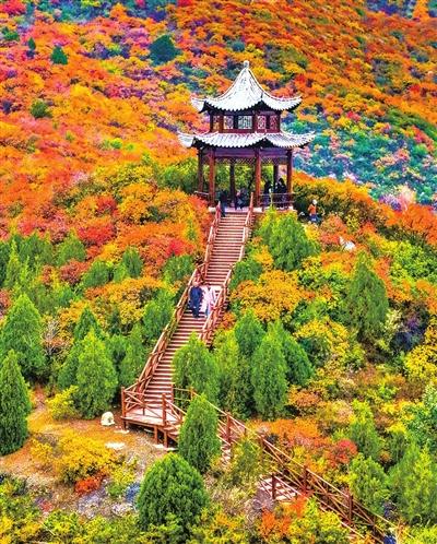 并州秋景胜春朝