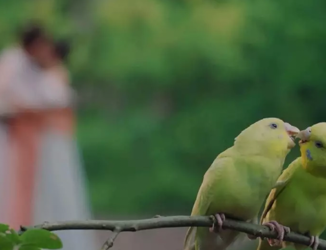 4月最火电影，败给一场床戏