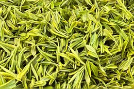 夏天喝什么茶最合适，下面介绍几款比较合适夏天喝的茶叶图片