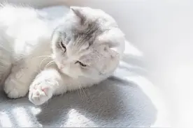 15个有趣的冷知识，get！图片