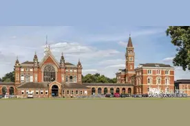 可惜！可叹！国际学校加速撤离，20年国际化之路已不通图片