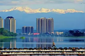 线上年货节来啦！邛酒、邛茶、特色产品等你“崃”购！图片