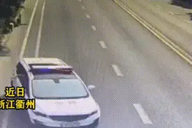 2条走失警犬追警车回到派出所图片