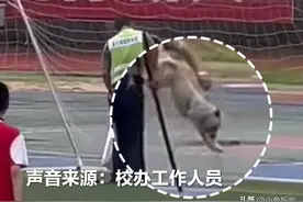 学校保安棍棒敲打小狗 校办：是流浪狗被网困住，有点狂躁先敲晕了图片