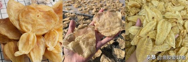 黄花筒贵还是花胶贵 2026年黄花胶与黄花筒的区别