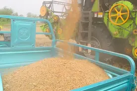 能拉4000斤，宗申、淮海发布2款电动三轮车，提速快、载重强图片