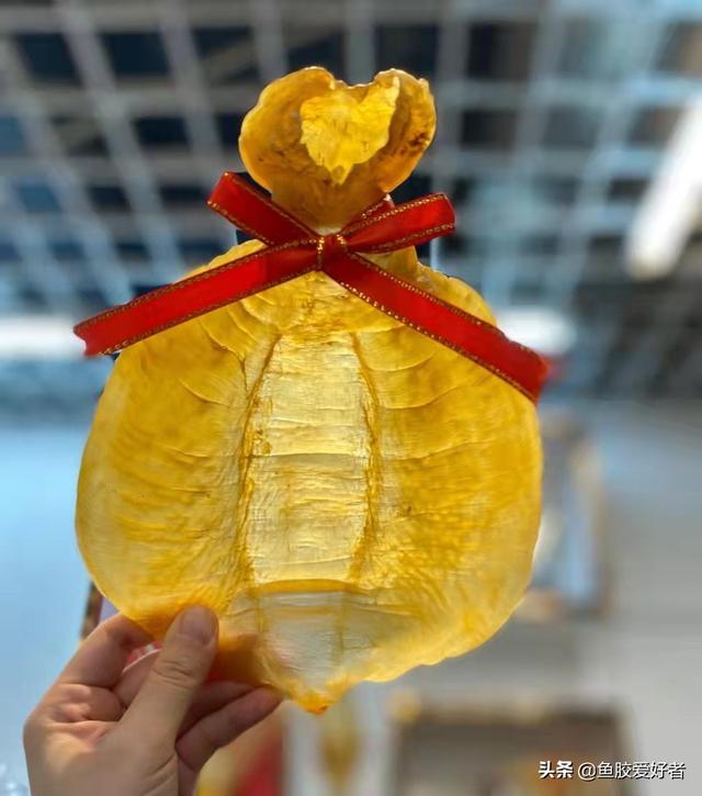 黄筒花胶和赤嘴花胶 2025年黄筒花胶和赤嘴花胶哪个好