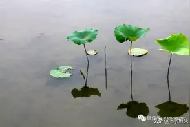 这些我等还经常用的简化汉字，你可能不认识图片