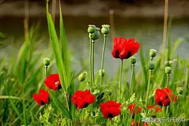 五十八岁后，守住养老钱，遇到以下四件事需要谨慎图片