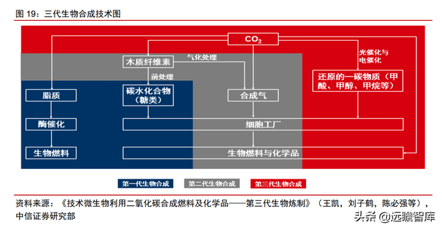 颠覆传统，合成生物：迎来历史发展机遇，乘势而起，引领未来