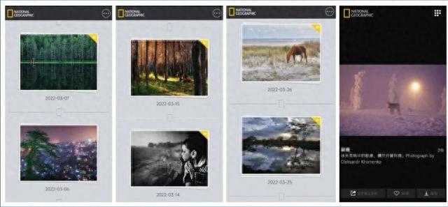 11�����źڿƼ�APP�����ù�������