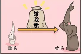 女生为什么也有那么多体毛啊？图片