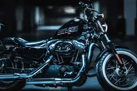 大多免费！成都五一展会、展览汇总来咯！图片