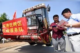 搞事情？严查“跨区作业证”导致收割机被扣，割小麦要回归镰刀？图片