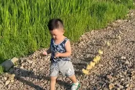 3岁萌娃凭借遛鸭走红，萌翻无数网友，散养的孩子究竟有多快乐？图片