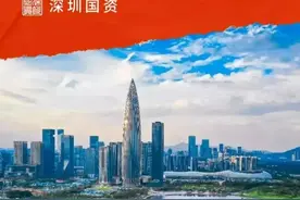揭秘深投控：深圳国企唯一世界500强企业，收入“虚胖”？图片