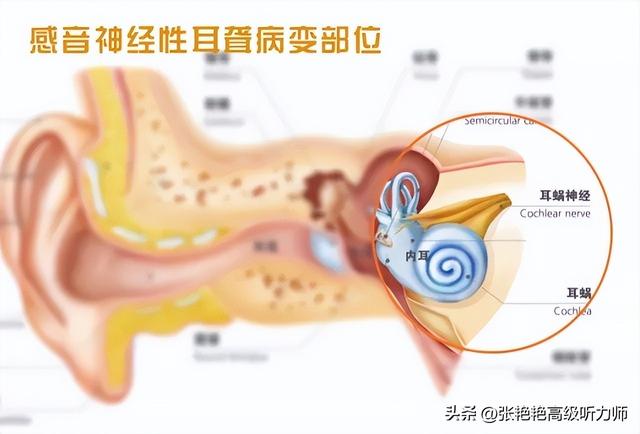 傅翠霜