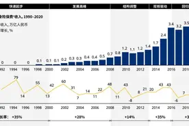 国内个人保险业务及运营情况图片