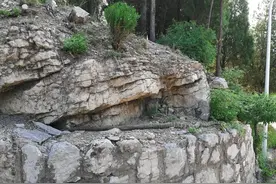 山东淄博原山国家森林公园大王蛇（王锦）“苍龙出洞”打卡父亲节图片