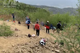 触目惊心！揭地皮、毁植被、凿矿洞！京郊再现“挖水晶热”图片