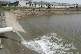 鱼虾塘夏季换注水四法提升进阶，无成本增氧调水图片