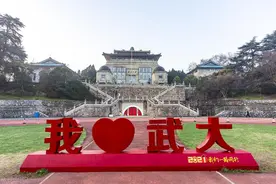从武汉大学毕业生去向看东北的人才流失，肉眼可见！图片