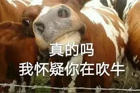 吹牛咋来的？为啥说夸大其词叫吹牛呢？图片