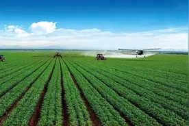 2023农田补助来了！补助标准有调整，村民朋友一定要了解！图片