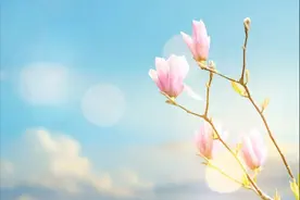 你是我，想见不能见的人图片