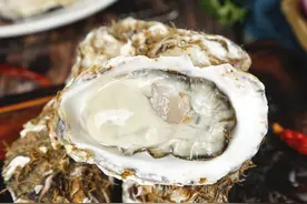 中国这7座城市的生蚝很有名，你觉得哪座城市的生蚝最好吃？图片