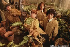 如何正确进入J.K.罗琳的魔法世界？《哈利·波特》系列观影顺序图片